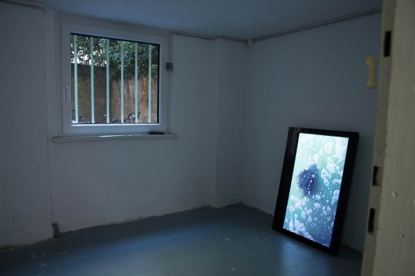 Ausstellung 8