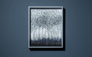 Ausstellungsansichten Anna Vogel early birds old souls kvhi 9858