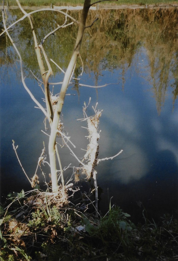 Hilde.2