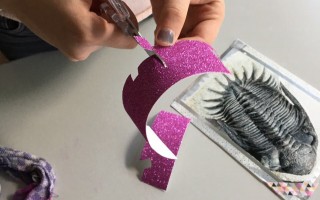 "Design your own Trilobites", 2017